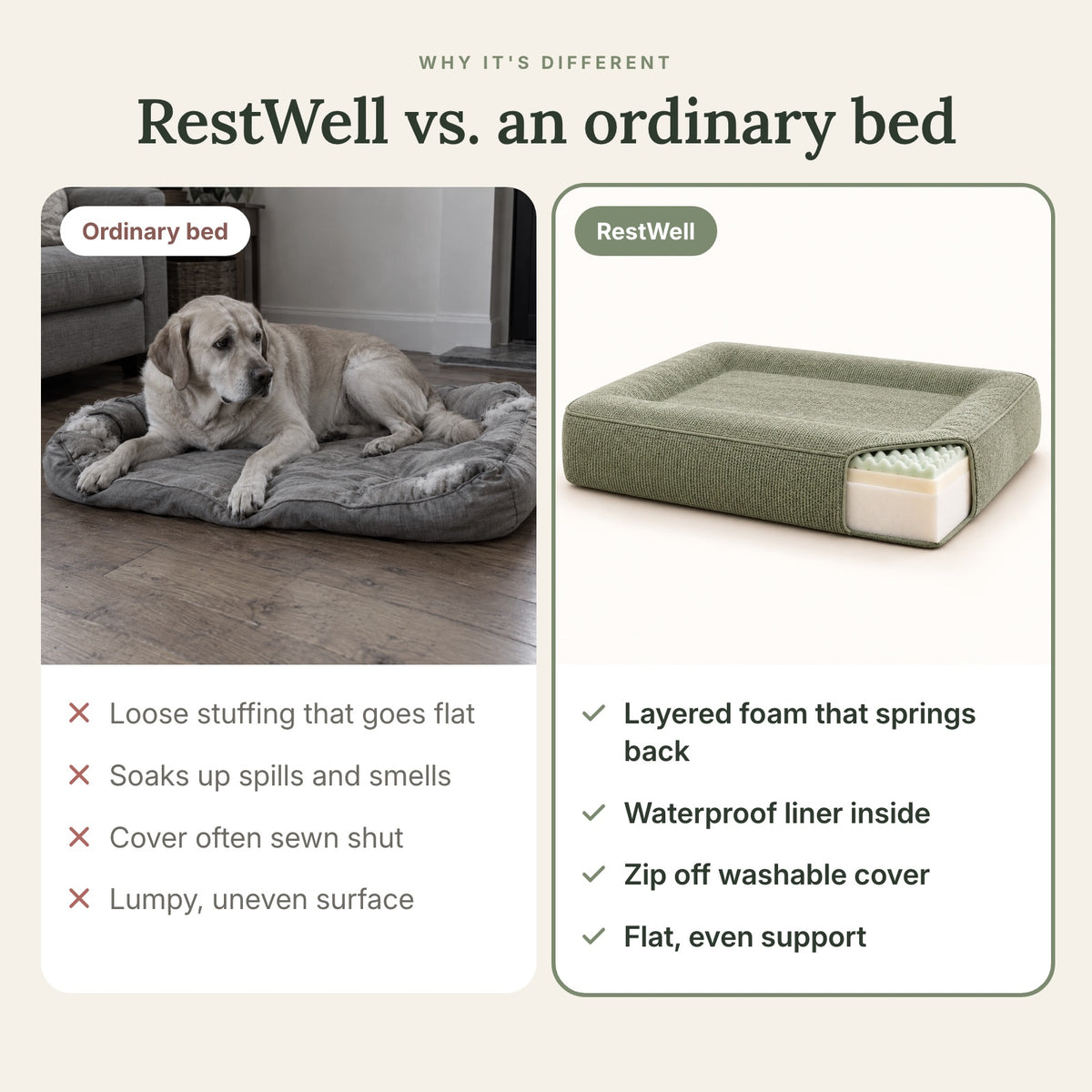 RestWell orthopedic memory foam dog bed in sage green, compared with an ordinary bed