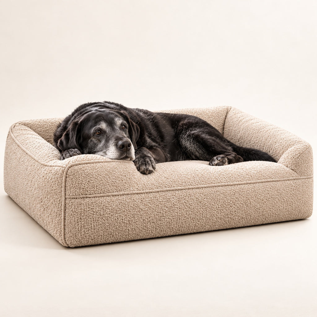 RestWell bolster orthopedic dog bed in oatmeal boucle, studio photo with a dog