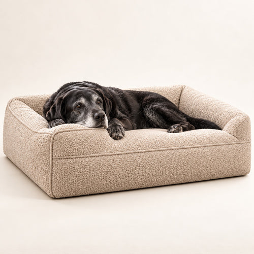 RestWell bolster orthopedic dog bed in oatmeal boucle, studio photo with a dog