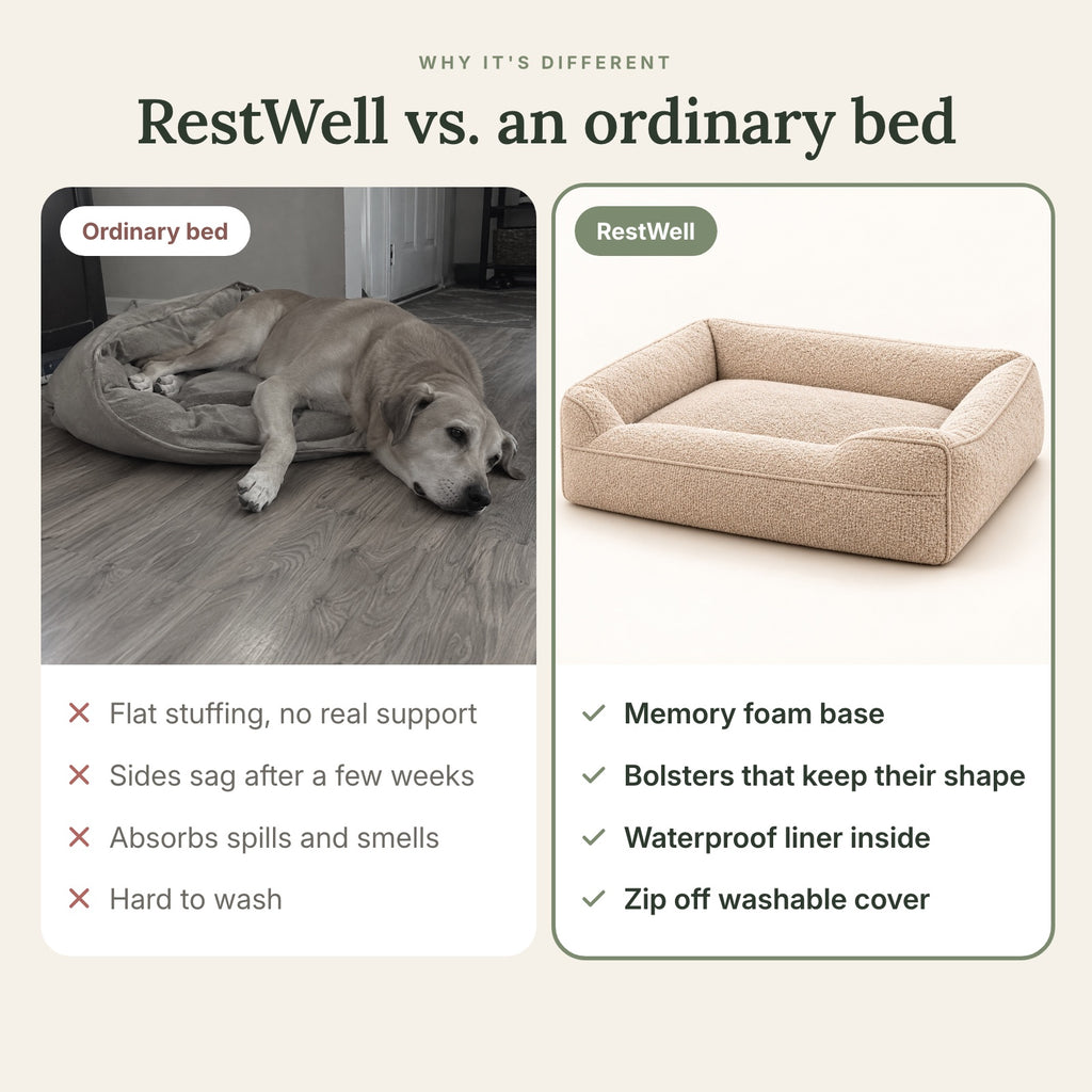 RestWell bolster orthopedic dog bed in oatmeal boucle, compared with an ordinary bed