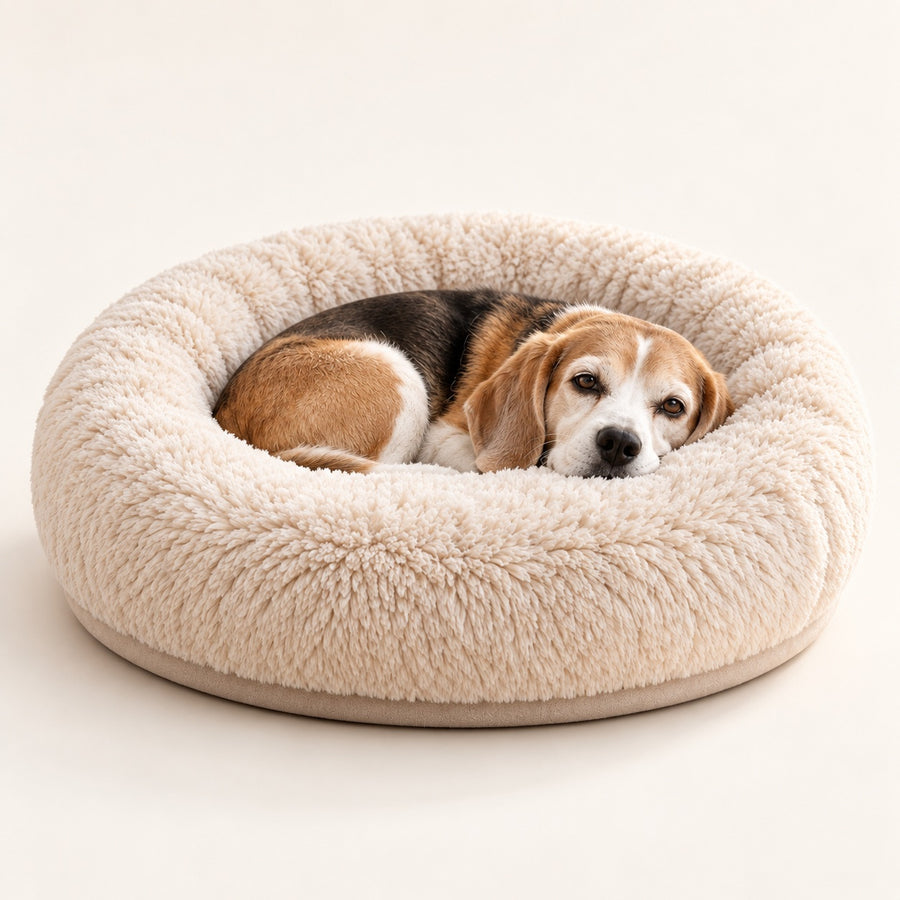 RestWell cuddler donut dog bed in cream faux fur, studio photo with a dog