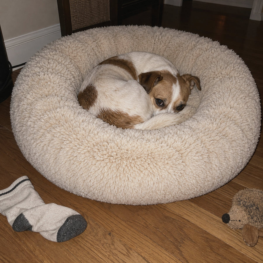 RestWell cuddler donut dog bed in cream faux fur, at home with a dog