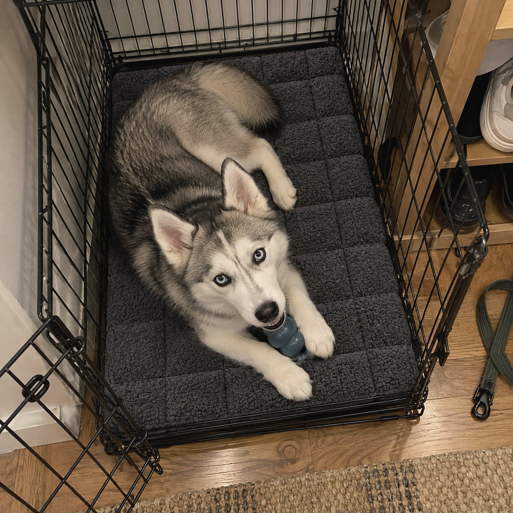 RestWell orthopedic crate mat in charcoal, at home with a dog