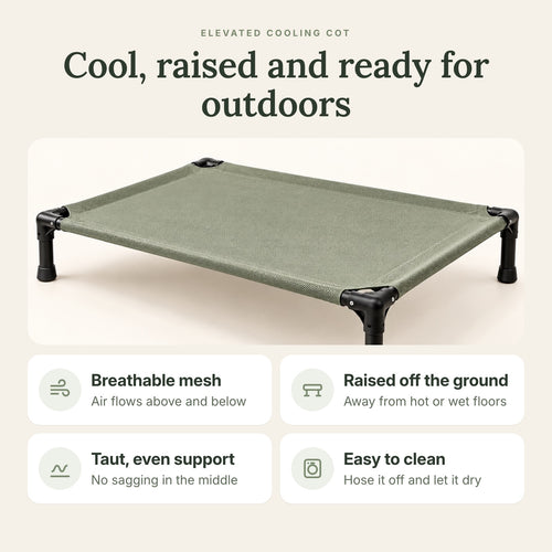RestWell elevated cooling dog cot with sage mesh, key benefits