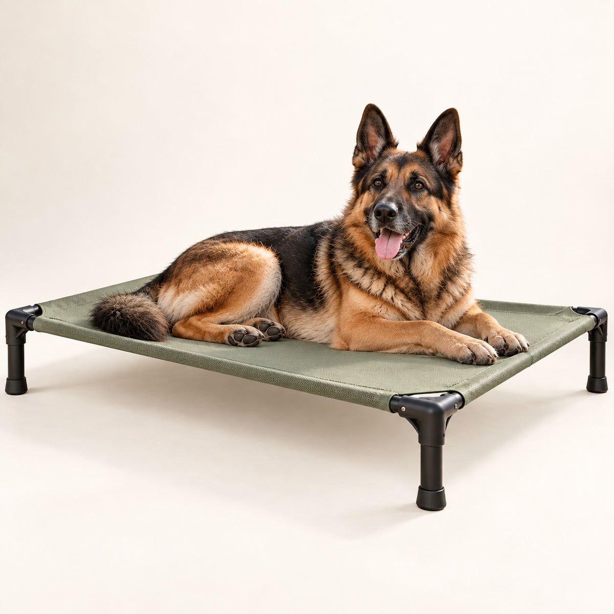 RestWell elevated cooling dog cot with sage mesh, studio photo with a dog