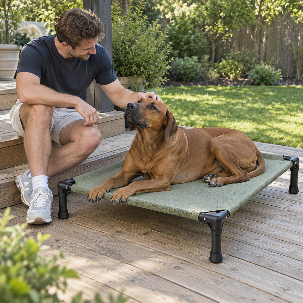 RestWell elevated cooling dog cot with sage mesh, next to an adult to show the size